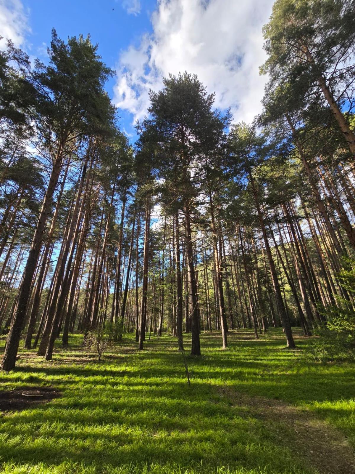 Hostal Rural Alto Tajo Poveda Poveda de la Sierra Zewnętrze zdjęcie