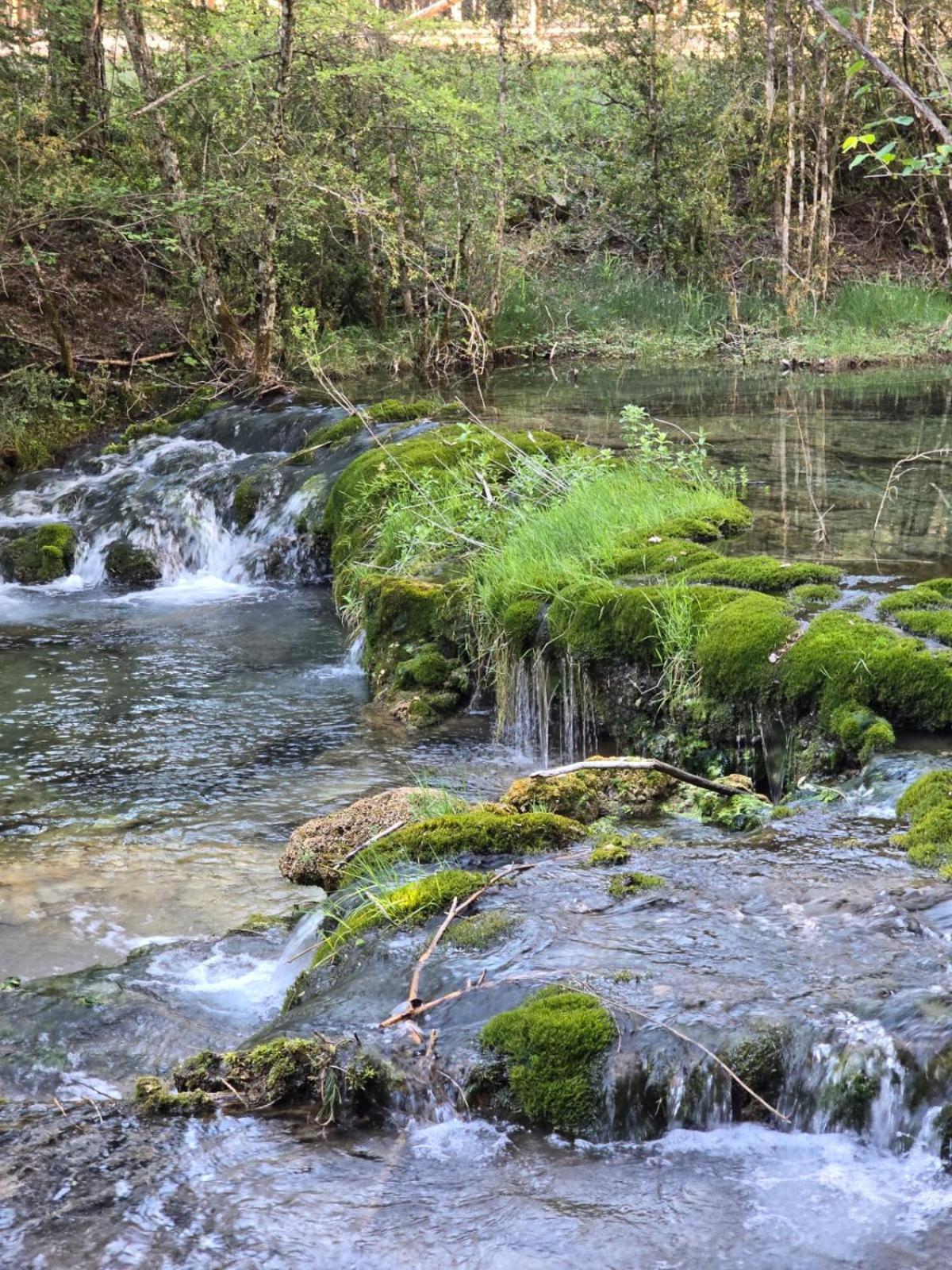 Hostal Rural Alto Tajo Poveda Poveda de la Sierra Zewnętrze zdjęcie