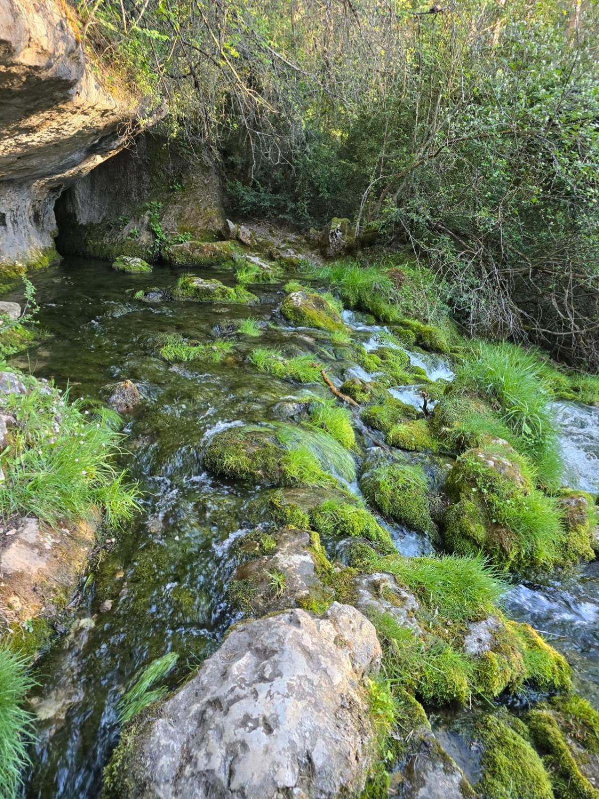 Hostal Rural Alto Tajo Poveda Poveda de la Sierra Zewnętrze zdjęcie